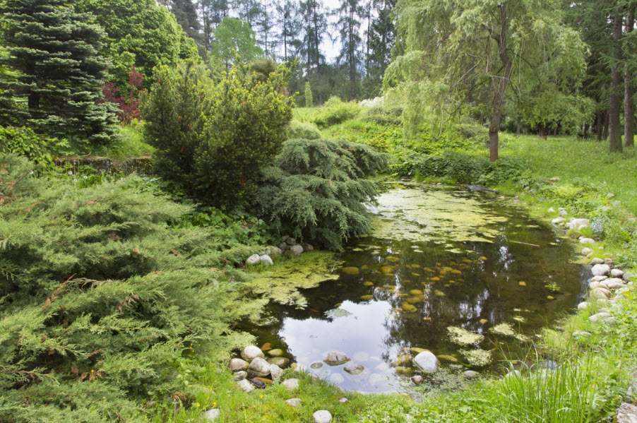 Liptovský Hrádok Arboretum, Slovakia